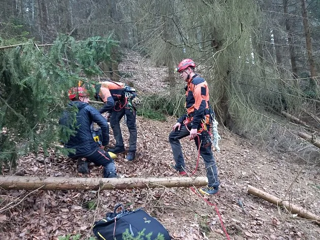 Paraglidista uvízl 20 metrů nad zemí. Hasiči se k němu museli prořezat