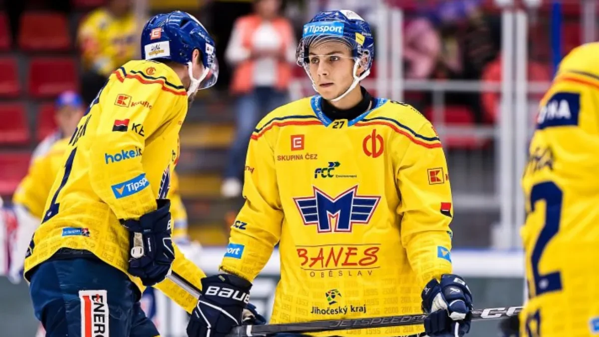 Z Budějovic do Edmontonu! Mladý český bek odchází do NHL