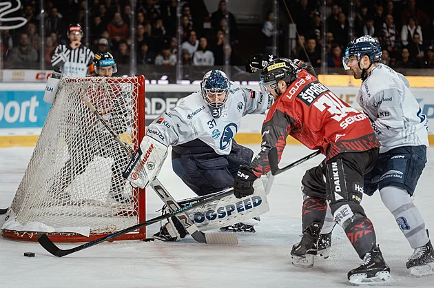 ONLINE: Boj o přežití i postup. Sparta bude hrát potřetí v Holešovicích proti Plzni