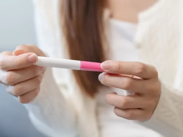 Logika limitů likvidace - Politika Echo24.cz článek na Media24.cz