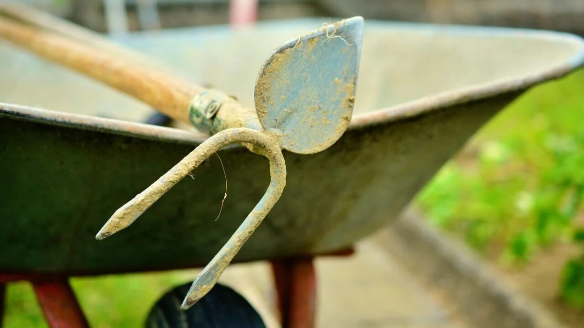 Češi zahazují motyčky a zahradní lopatky. Pletí usnadní vychytávka, u které neohnu záda a práci udělá za 1/3 času - Zprávy Nespechej.cz článek na Media24.cz