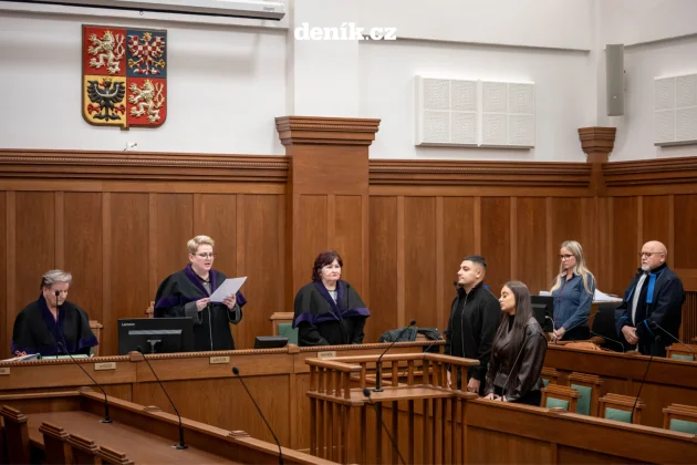 Rapper Hard Rico má jít na čtyři roky do vězení. Musí zaplatit dva miliony