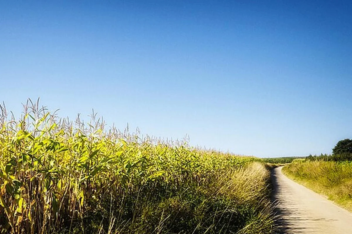 Předpověď počasí na léto 2026 zaskočila i meteorology. Něco takového tady nebylo desítky let