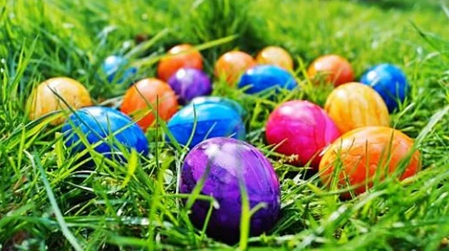 Pojďte s dětmi do Faunaparku ve Frýdku-Místku hledat velikonoční vajíčka - Zprávy Metro.cz článek na Media24.cz